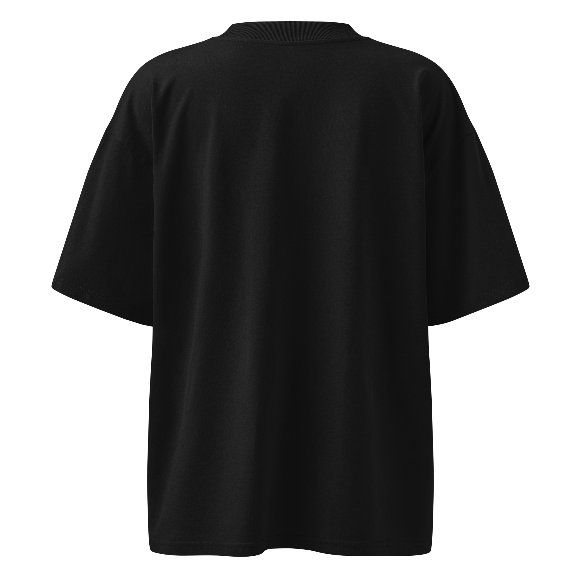 Magnetic Abundance Unisex Organic Cotton Oversized High Neck T Shirt
