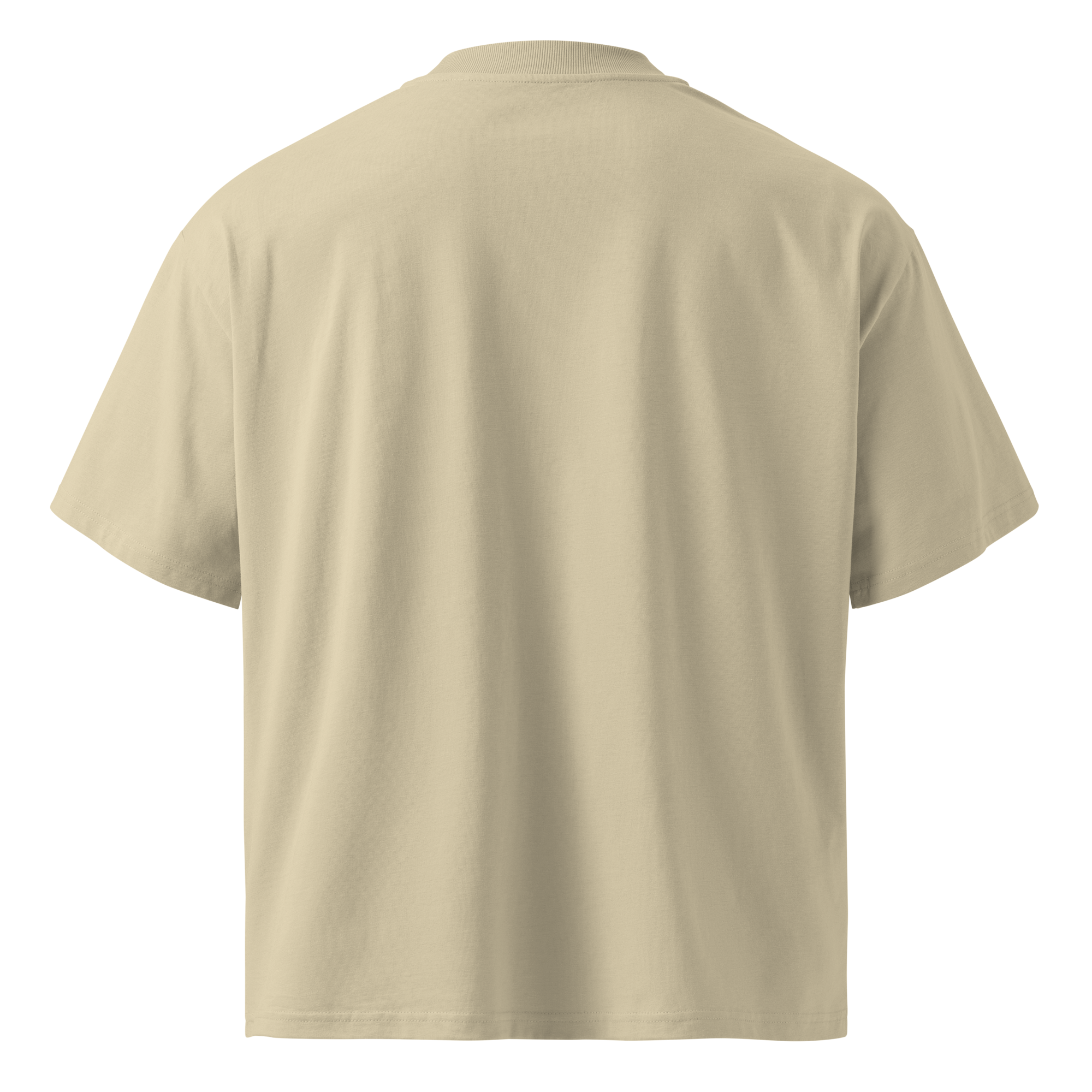 Magnetic Abundance Unisex Organic Cotton Oversized High Neck T Shirt