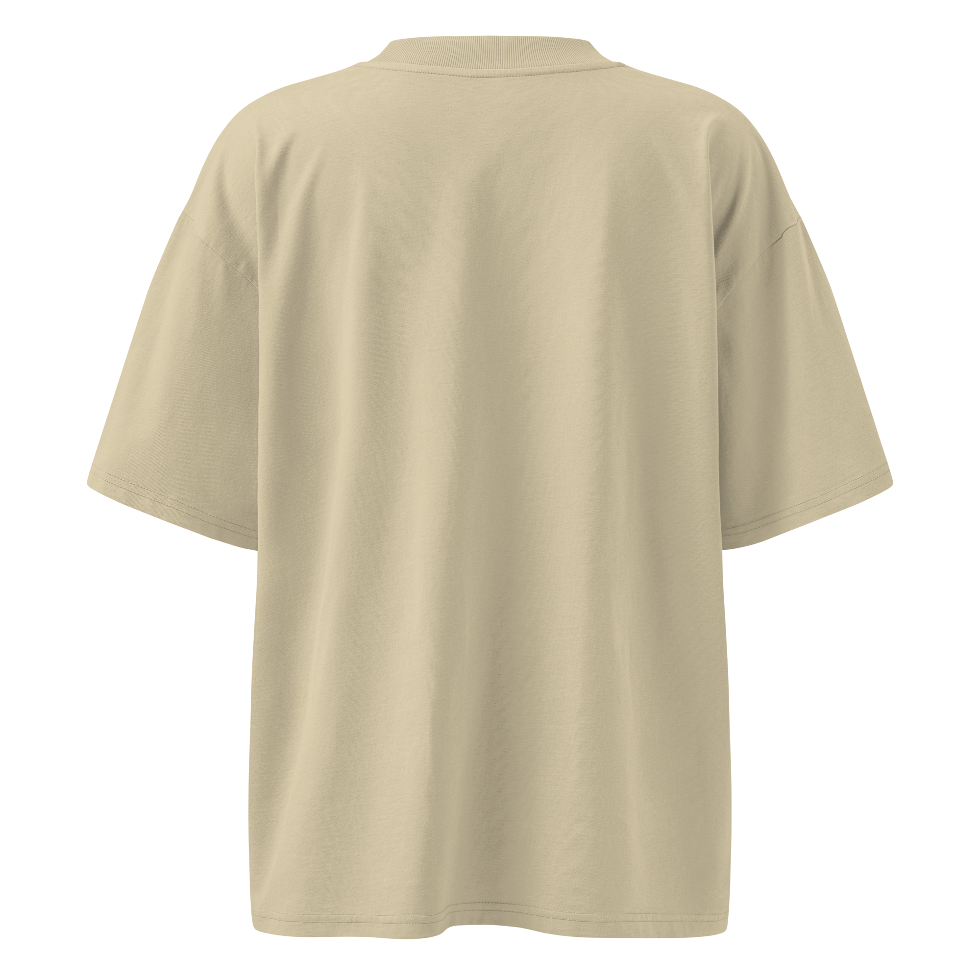 Magnetic Abundance Unisex Organic Cotton Oversized High Neck T Shirt