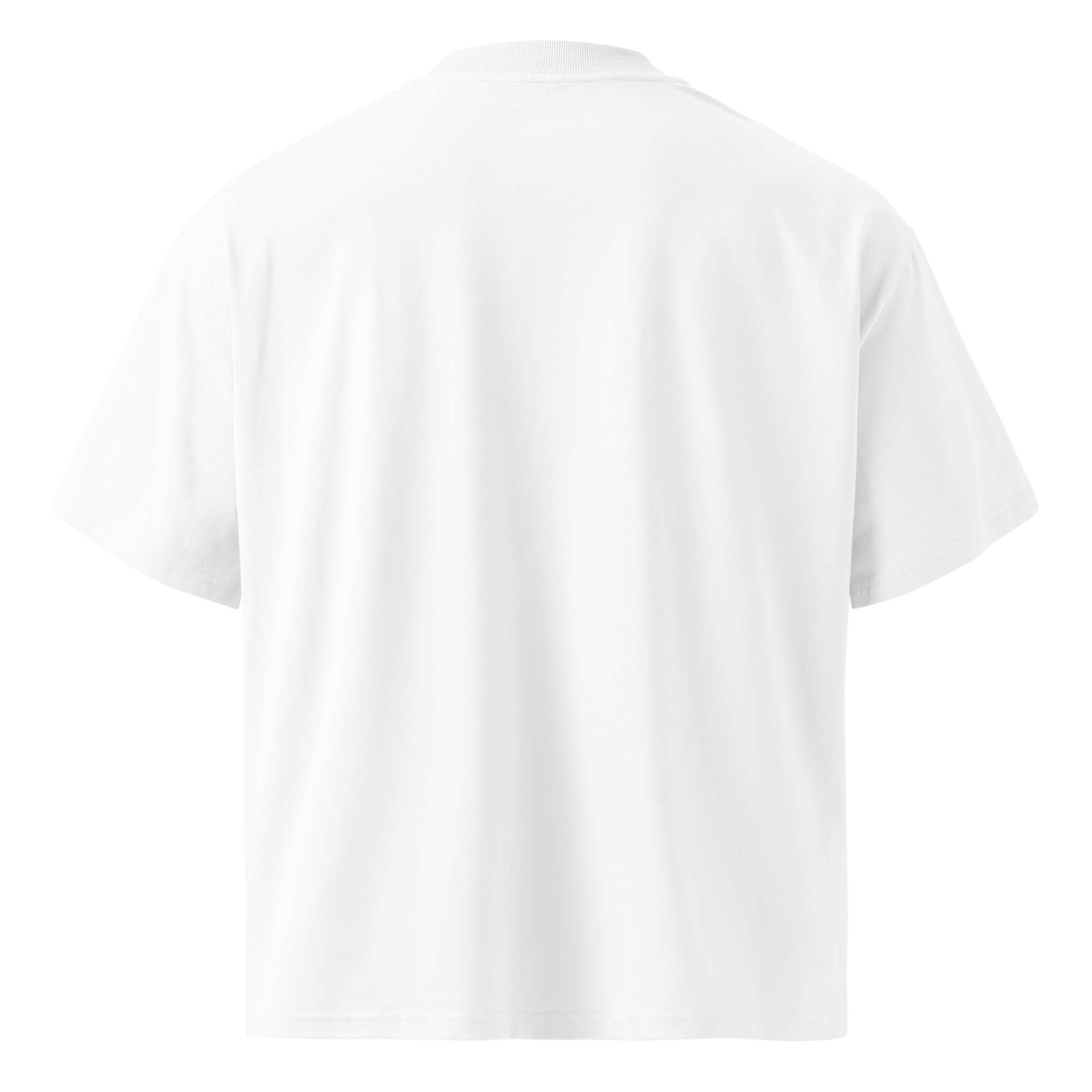 Magnetic Abundance Unisex Organic Cotton Oversized High Neck T Shirt